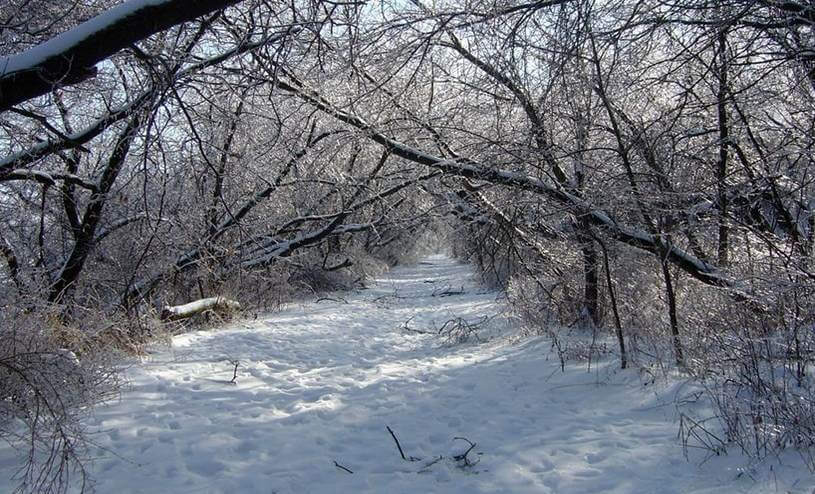 Miles of Snow-covered Paths for Winter Hiking and Cross Country Skiing